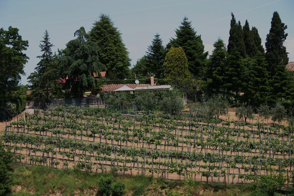 Agriturismo Podere La Fornace Cavriglia Kültér fotó