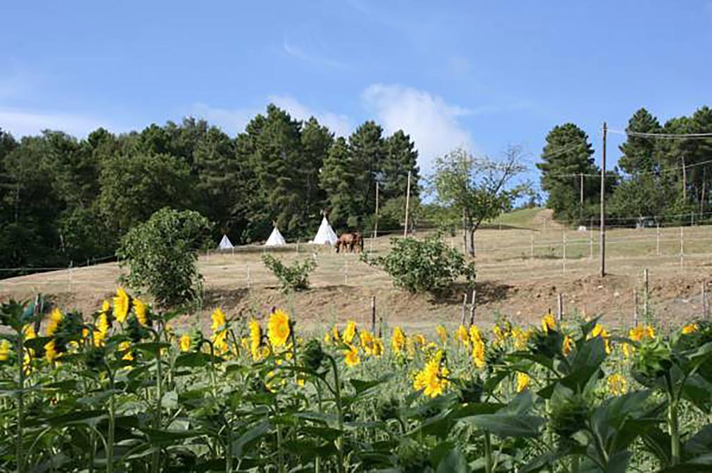 Agriturismo Podere La Fornace Cavriglia Kültér fotó